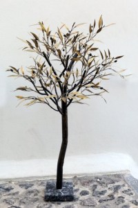 olive-trees-0060